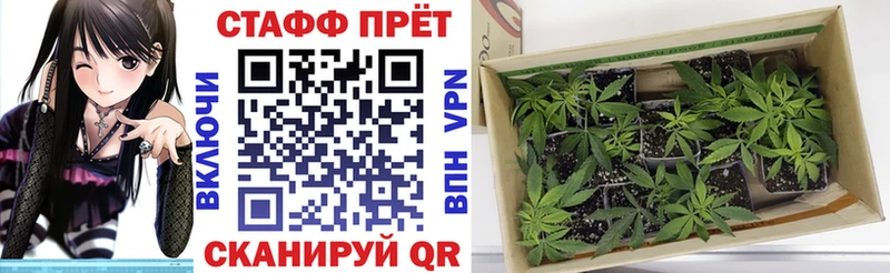 Названия наркотиков Ртищево Кокаин  МЕГА сайт  Бошки Шишки  Мефедрон  МЕТАДОН 