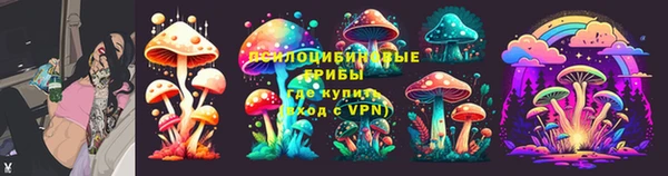 прущая мука Арсеньев