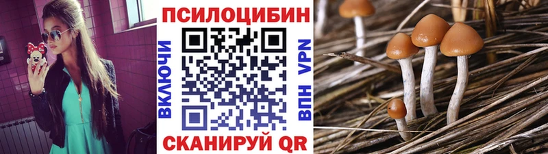 Псилоцибиновые грибы ЛСД  Ртищево 
